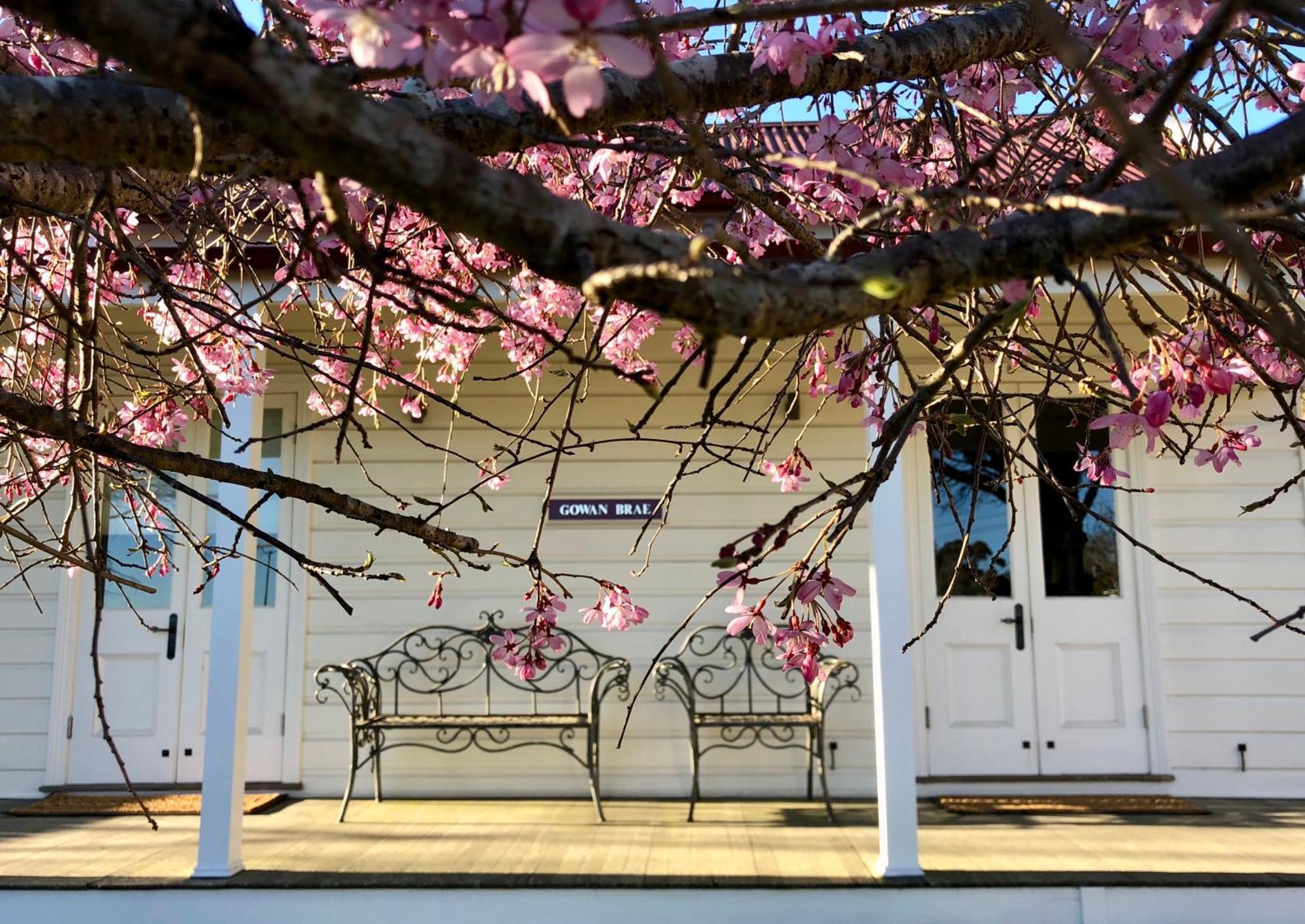Gowan Brae Cottage كاتومبا المظهر الخارجي الصورة