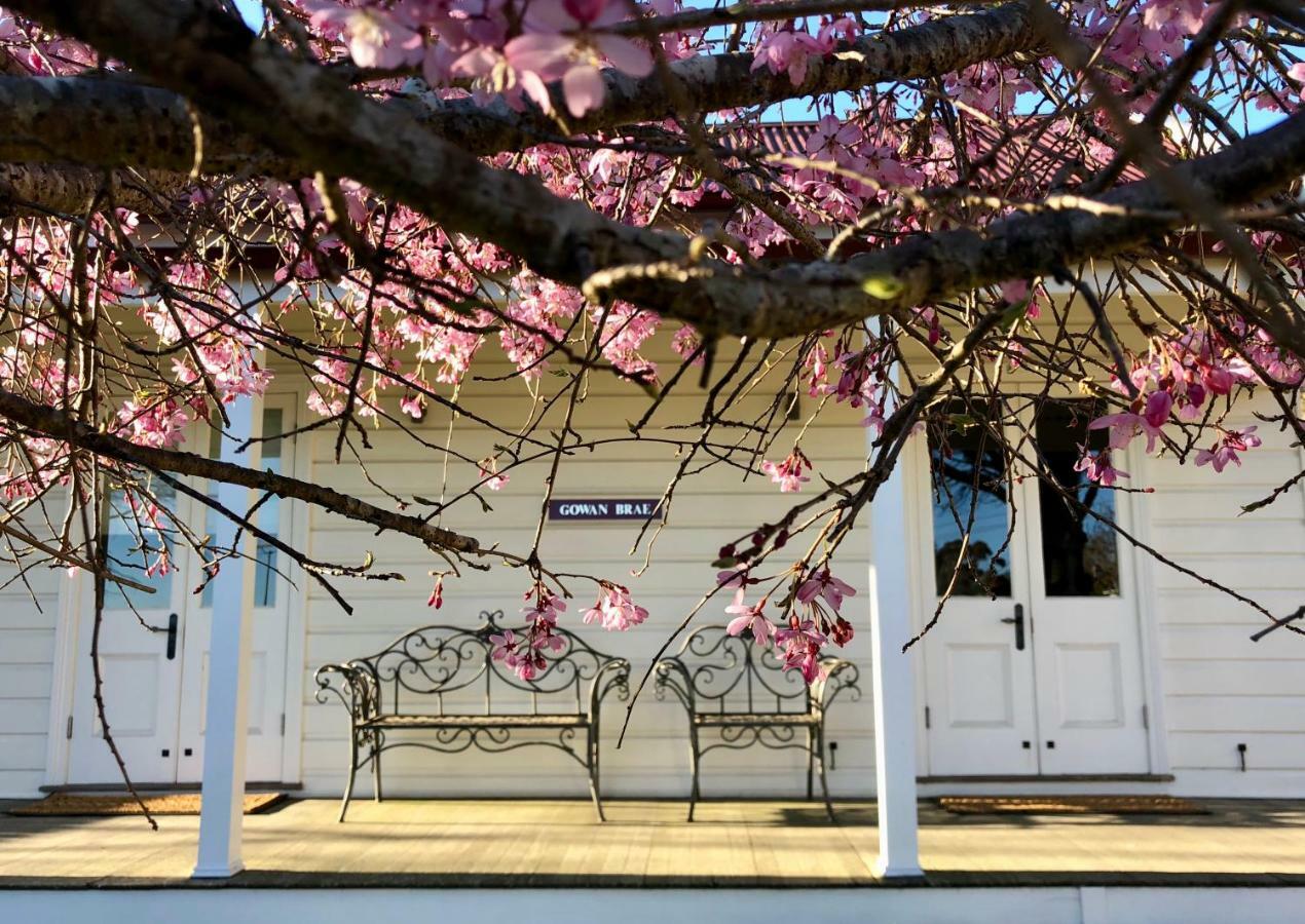 Gowan Brae Cottage كاتومبا المظهر الخارجي الصورة